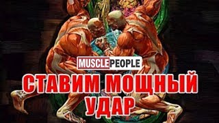 Как поставить нокаутирующий удар!