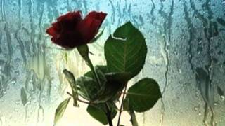 Someone Like You ~ Van Morrison ~