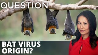 Wuhan lab studied bats from Laos – US Gov’t Docs