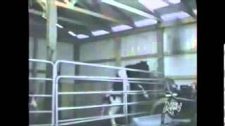 Funny Animal Sexy 2014, dog sex, horse sex, zoo sex 2014
