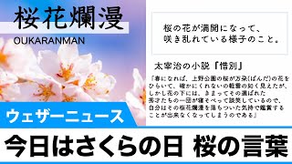 今日は「さくらの日」 桜の言葉　#さくらの日