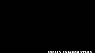 night watch - brain information