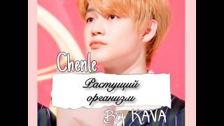 |NCT|CHENLE|РАСТУЩИЙ ОРГАНИЗМ|МЕСС-РЕАКЦИЯ|