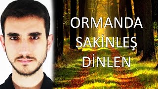 Sakinleştici, Dinlendirici Uygulama | Orman