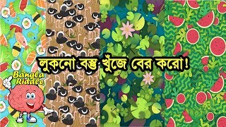লুকনো বস্তু খুঁজে বের করো | Bangla Riddles | Find hidden object | puzzle | brainteaser
