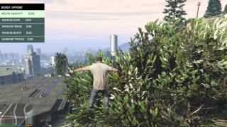 Разбираемся с Native Trainer для Gta 5