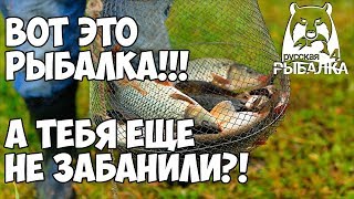 Самый лучший День Рождения! Или как бомбит админов - Русская Рыбалка 4/Russian Fishing 4