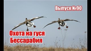 Охота на гуся в Бессарабии, выпуск №90 (UKR)