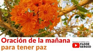 Oración de la mañana para tener paz