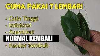 SEMUA KAGET! GULATINGGI, KOLEZTROLTINGGI, DANASAMURAT NORMAL SECARA ALAMI