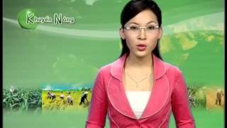 Mô hình trang trại tổng hợp  phát triển kinh tế nông nghiệp ở Hòa Bình