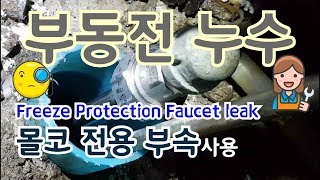 부동전에서 물이 새는데...(몰코 전용 부속 사용하기)/Freeze protection faucet leak