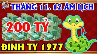 2 THÁNG TỚI TUỔI ĐINH TỴ 1977, LÀM ĐÂU THẮNG ĐẤY, TIỀN NHIỀU VÔ KỂ, NỢ NẦN TRẢ SẠCH