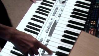 Kosa sei Ricchi e Poveri. Стан. Yamaha PSR + Casio