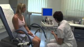 ATMOS S 41 Gyne - Übersicht (deutsch)
