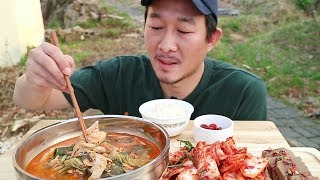 닭개장 먹방~! Spicy Chicken Soup Mukbang eating show