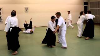 Aikido: Besuch im Meishin Aikido St. Gallen: Gyakuhanmi Genkey kokyunage