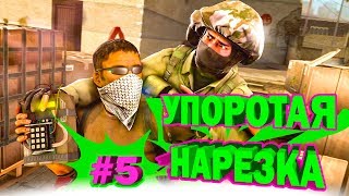 CS:GO | Упоротая Нарезка #5 | Дагестанец и Шл*ха