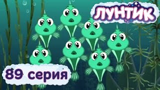 Лунтик и его друзья - 89 серия. Мальки