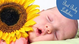 LULLABIES Lullaby For Babies To Go To Sleep Baby Music Lullaby Songs Go To Sleep Bedtime
