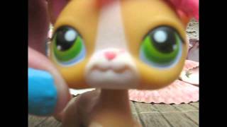 LPS || Mr Saxobeat || MV