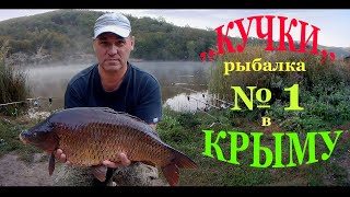Водоём ,,КУЧКИ,,  рыбалка № 1 в Крыму сезона 2019 г
