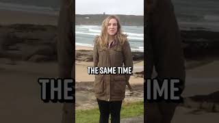 YouTuber Allegedly Faked Livestream to Kill Pregnant Woman #Shorts