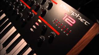 Dave Smith Prophet 12 - Sounds from Bank 1