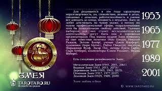 Змея: характеристика знака или год Змеи по восточному (китайскому) гороскопу