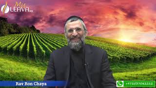 LE FANTOME DE VOLOZHIN - RAV RON CHAYA