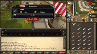 Runescape Expert Guide: Advanced Action Bar Skilling