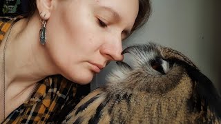 Кусь от совы за нос и за всё остальное всякое