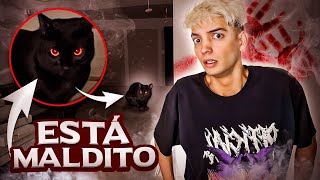 Este gato negro es una bruja…