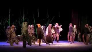 Robin Hood  Act I 2015