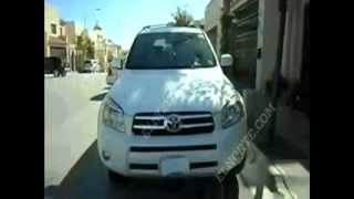 RAV4 LIMITED 08 blanco perla 5p Aut 50km $190M