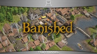 Banished : GeForce 8600M GT (high details)