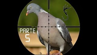 Caza De Palomas Y Perdices Con Rifle De Aire Parte 5