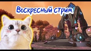 World of Warcraft.Воскресный стрим(без эпика и квестов,просто Дренор)