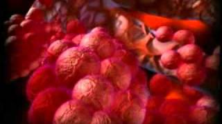 The Miracle of Respiration