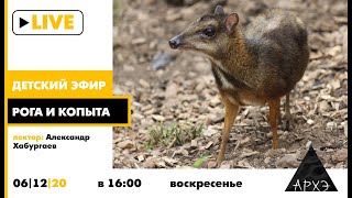 Детский эфир "Рога и копыта" в рамках рубрики "Путешествия с натуралистом"