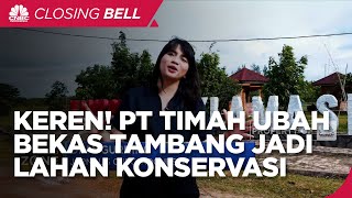 PT Timah Ubah Galian Bekas Tambang Jadi Lahan Konservasi