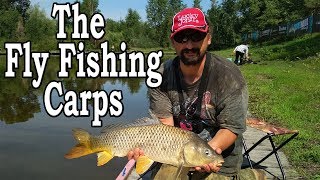 The Fly Fishing Carps. Ловля карпа нахлыстом