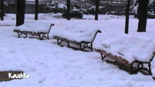 A Torino freddo Siberiano.