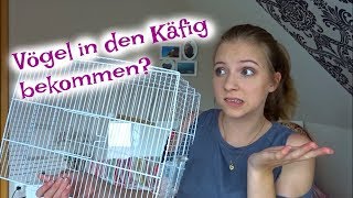 SO BEKOMMT IHR EURE VÖGEL IN DEN KÄFIG!?