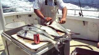 Cleaning Blue Fish