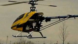 T. an Trex 600 T-rex 600 ESP Einschweben mit Helicommand