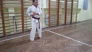 Shotokan resistance band excercises