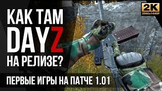 Как там DayZ на релизе? [2K]