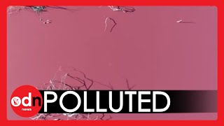 Environmentalists in Argentina Concerned After POLLUTION Turns Lagoon A Bright Pink Colour