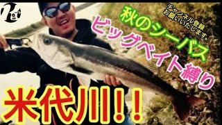 (シーバス) 米代川 ランカーチャレンジ